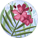 Silvana A. profile picture